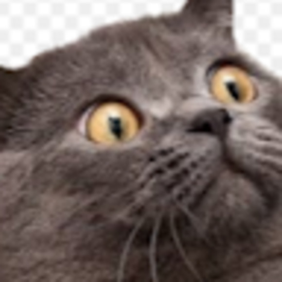 Meet your Posher, Evan - Picture 1 of 1